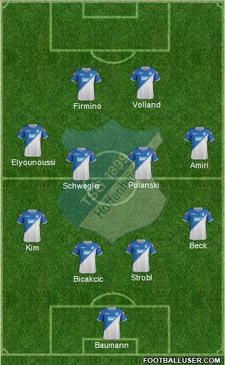 TSG 1899 Hoffenheim Formation 2015