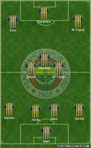 Fenerbahçe SK Formation 2015