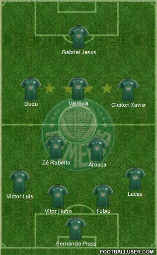 SE Palmeiras Formation 2015
