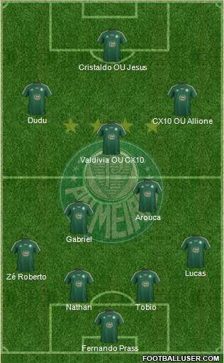 SE Palmeiras Formation 2015