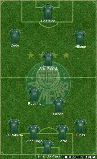 SE Palmeiras Formation 2015