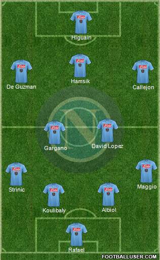 Napoli Formation 2015
