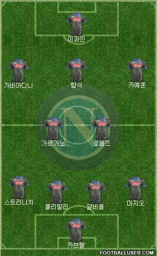 Napoli Formation 2015