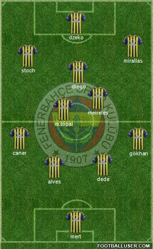 Fenerbahçe SK Formation 2015