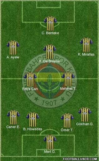 Fenerbahçe SK Formation 2015