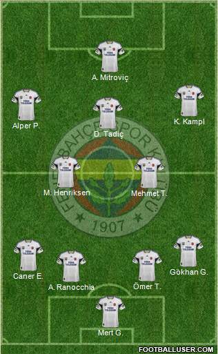 Fenerbahçe SK Formation 2015