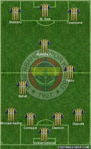 Fenerbahçe SK Formation 2015