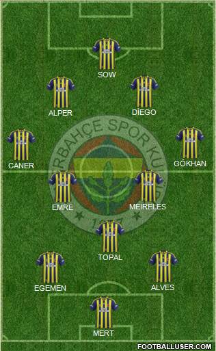 Fenerbahçe SK Formation 2015