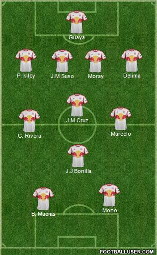 New York Red Bulls Formation 2015