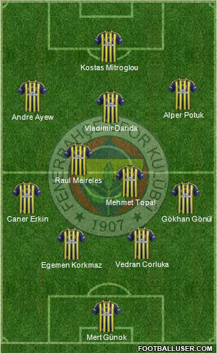 Fenerbahçe SK Formation 2015