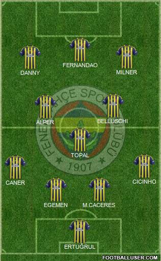 Fenerbahçe SK Formation 2015