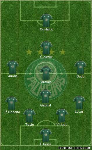 SE Palmeiras Formation 2015