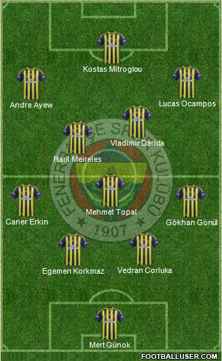 Fenerbahçe SK Formation 2015