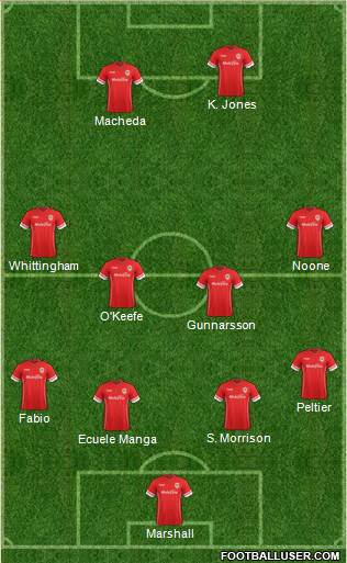 Cardiff City Formation 2015