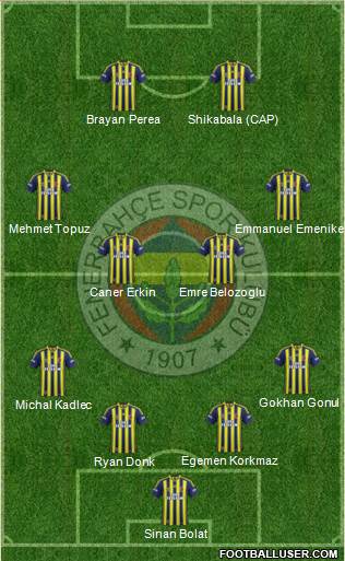 Fenerbahçe SK Formation 2015