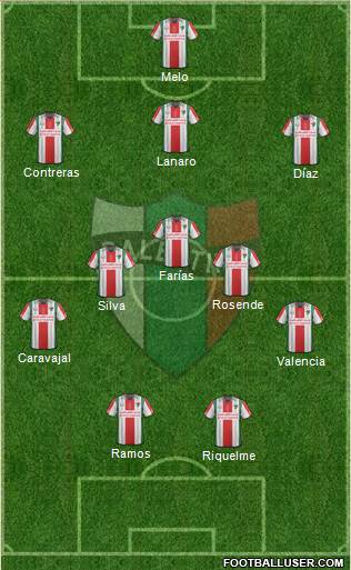 CD Palestino S.A.D.P. Formation 2015