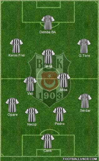 Besiktas JK Formation 2015