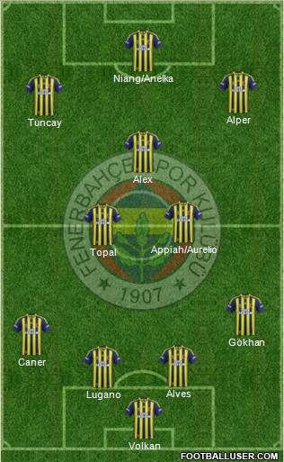 Fenerbahçe SK Formation 2015