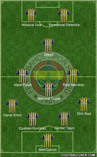 Fenerbahçe SK Formation 2015