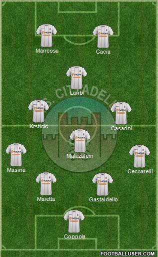 Cittadella Formation 2015