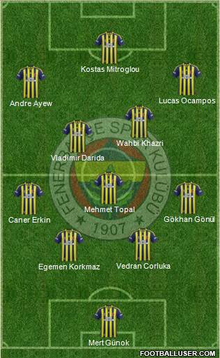 Fenerbahçe SK Formation 2015