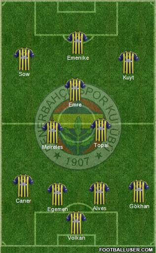 Fenerbahçe SK Formation 2015
