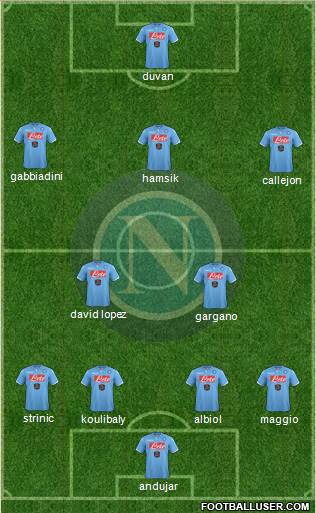 Napoli Formation 2015