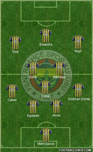 Fenerbahçe SK Formation 2015