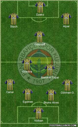 Fenerbahçe SK Formation 2015