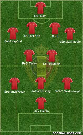 Belgium Formation 2015