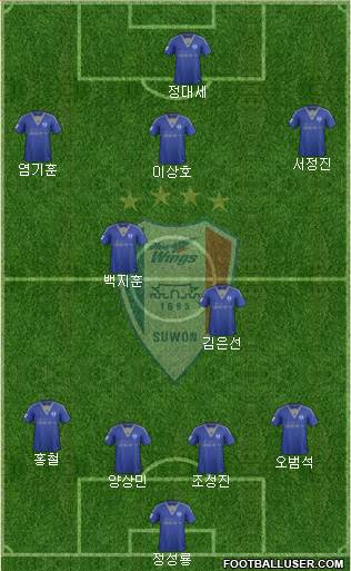 Suwon Samsung Blue Wings Formation 2015