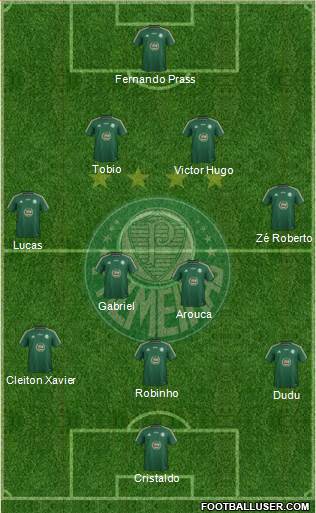 SE Palmeiras Formation 2015