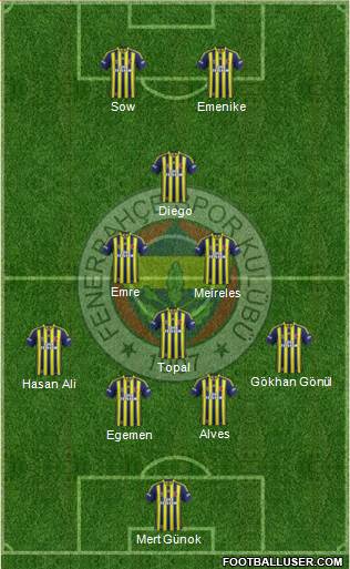 Fenerbahçe SK Formation 2015