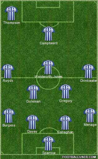 Sheffield Wednesday Formation 2015