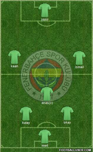 Fenerbahçe SK Formation 2015