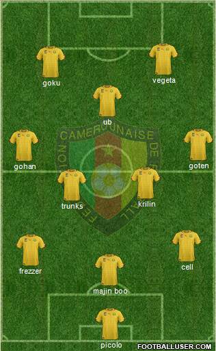 Cameroon Formation 2015