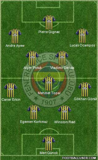 Fenerbahçe SK Formation 2015