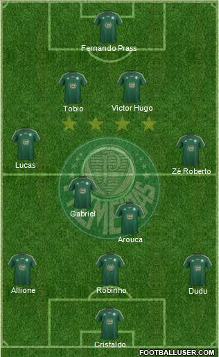 SE Palmeiras Formation 2015