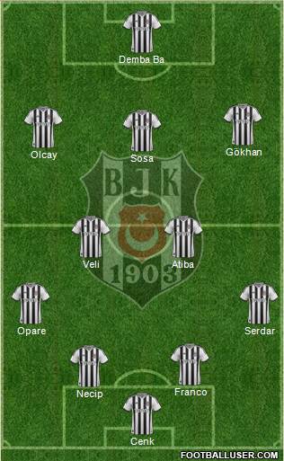 Besiktas JK Formation 2015