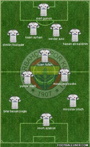 Fenerbahçe SK Formation 2015