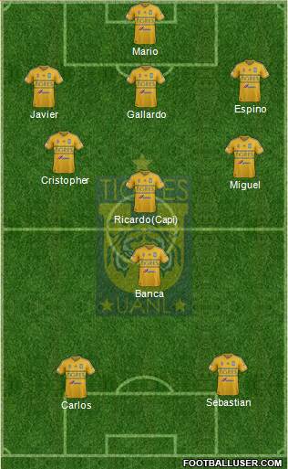 Club Universitario de Nuevo León Formation 2015