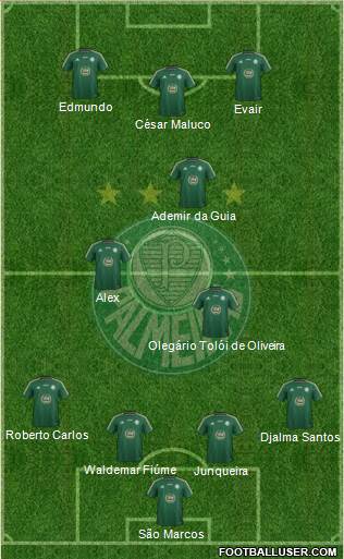 SE Palmeiras Formation 2015