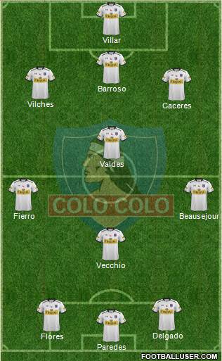 CSD Colo Colo Formation 2015