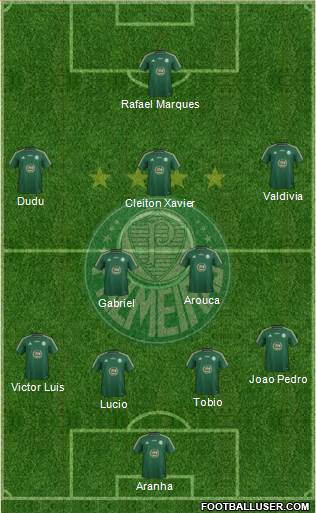 SE Palmeiras Formation 2015