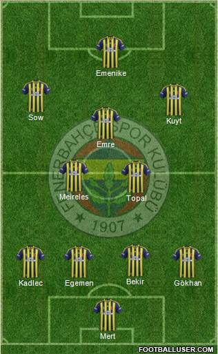 Fenerbahçe SK Formation 2015