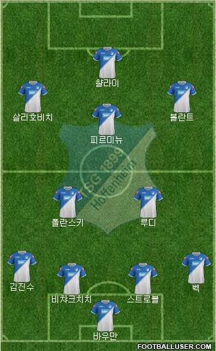TSG 1899 Hoffenheim Formation 2015