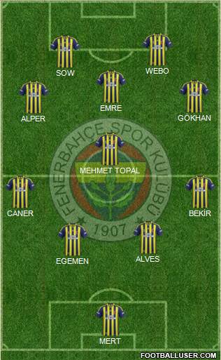 Fenerbahçe SK Formation 2015