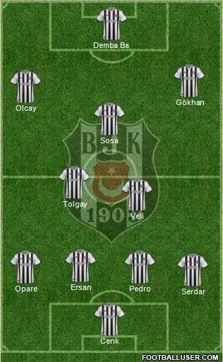 Besiktas JK Formation 2015
