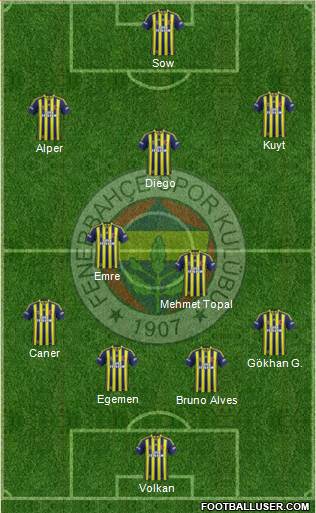 Fenerbahçe SK Formation 2015