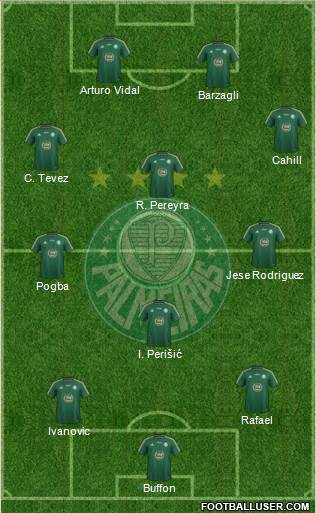 SE Palmeiras Formation 2015